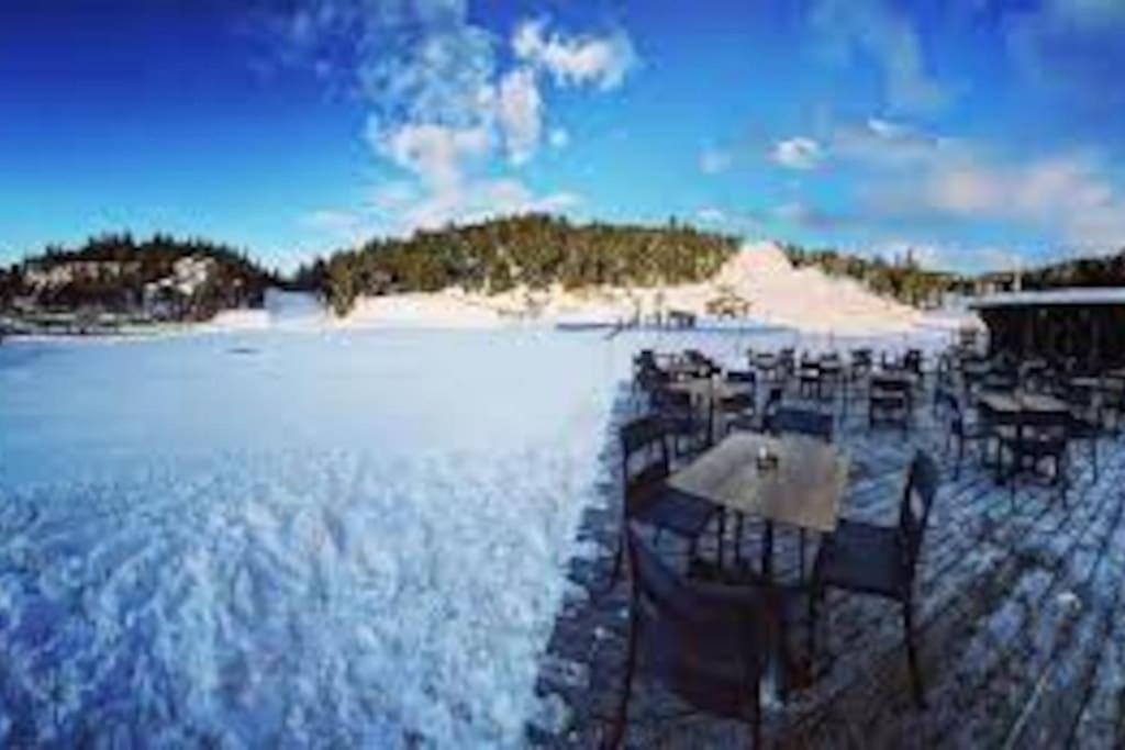 T2 Pour 4 Pers Style Chalet Pied Des Pistes Bolquere Pyrenees 2000 Екстериор снимка